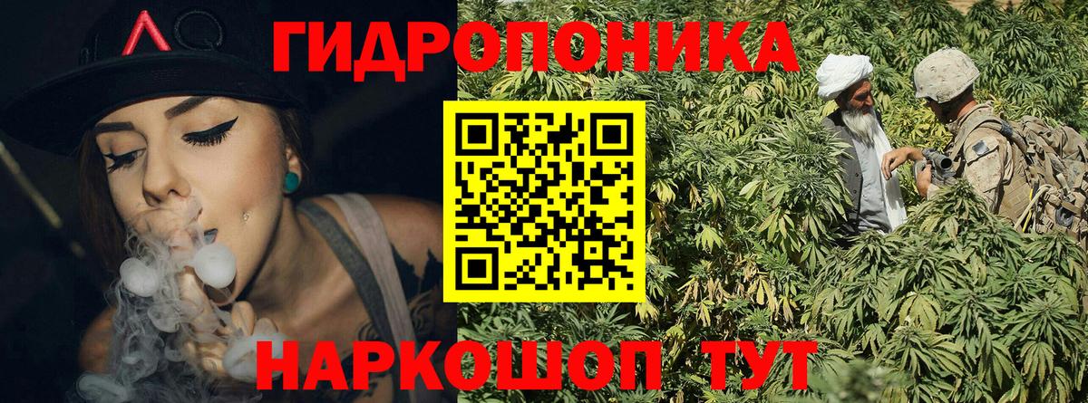 Бошки Шишки семена  Вход с VPN  Белово  Марихуана MAZAR  Марихуана сатива  Канабис White Widow 